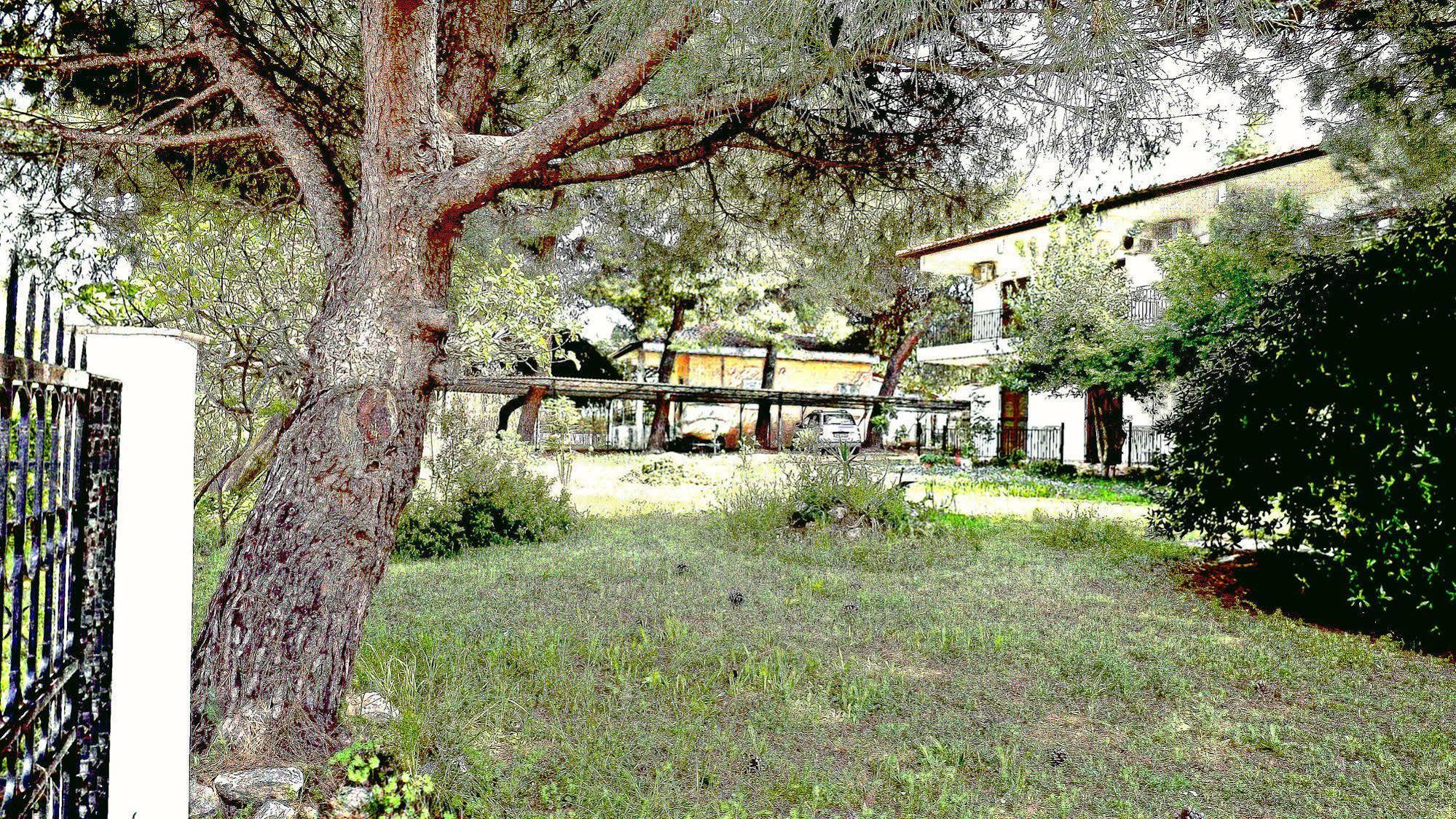 Pefka Studios & Apartments Khalkidiki Eksteriør bilde